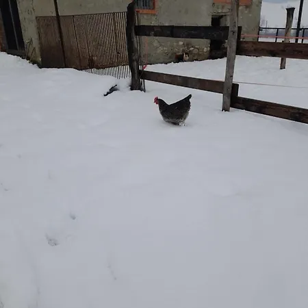 Nabucco Lejlighed *