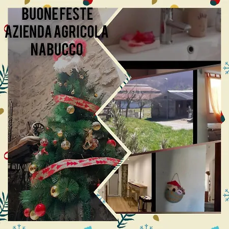 Nabucco * Compiano